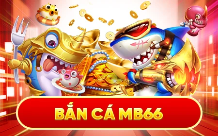 banner-ban-ca-mb66